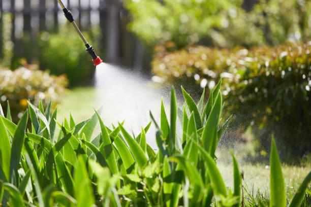 24/7 Emergency Mosquito Control experts in Royston, GA