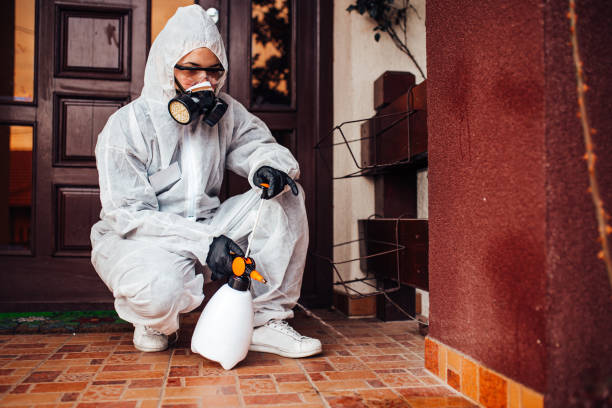 Reliable Mosquito Control contractor in Royston, GA by Show Me Pest Control